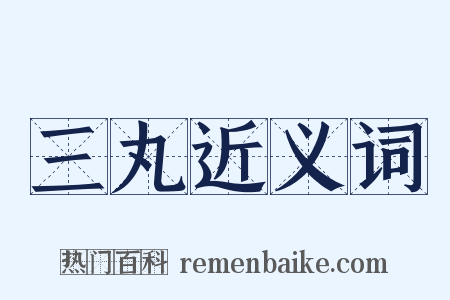 三丸近义词是什么意思的图片